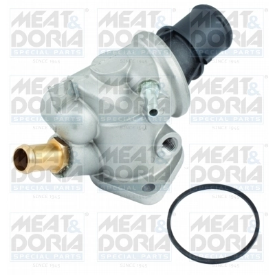 Thermostat, coolant
